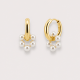Aro Pearlflower